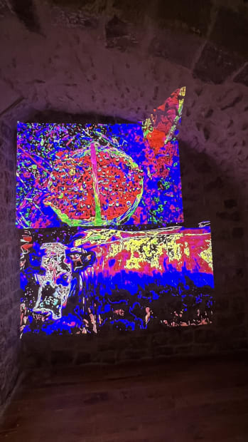 Museum Mater (Barcelona), Tradition and Materiality Reflected