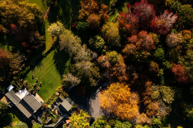 The F&ouml;enander Artist Residency situated in the countryside of rural Auckland. The Residency is open by invitation and hosts artist...