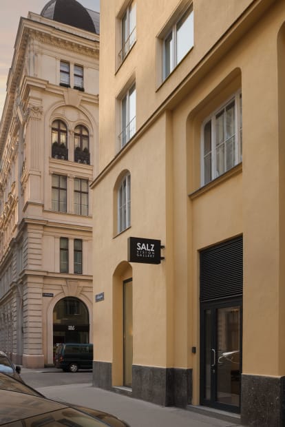 Salz Vision Gallery combines a strong local presence in Vienna with an international orientation. The name refers both to the...