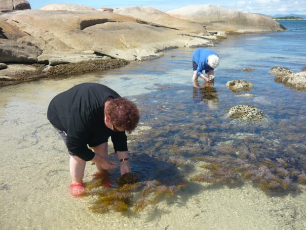 Cultural work and creative making are kin... ... both require close observation and perserverance. While an individual may possess singular...