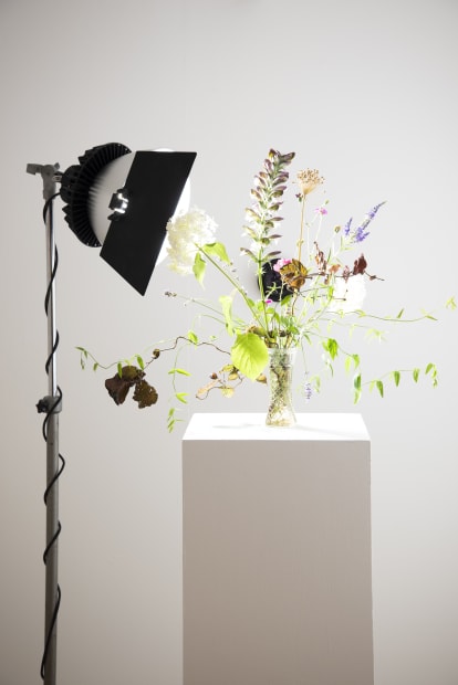 WILDFLOWERS WITH BEA / Brendan Barry Archival Pigment print on PhotoRag paper Printed from the original Unique Chromogenic Image Prints...