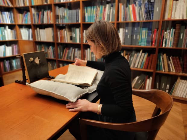 The history of art ; studies and research