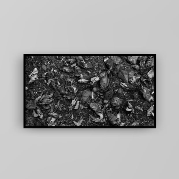 Œuvres de désir – de toucher, de comprendre, d'y plonger parfois –, elles nous ouvrent la voie vers le monde...