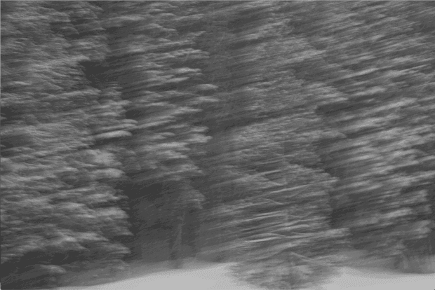 This exhibition is about our humankind connecting, and reconnecting, with the simplicity and beauty of the natural world. Kimberly ventures...