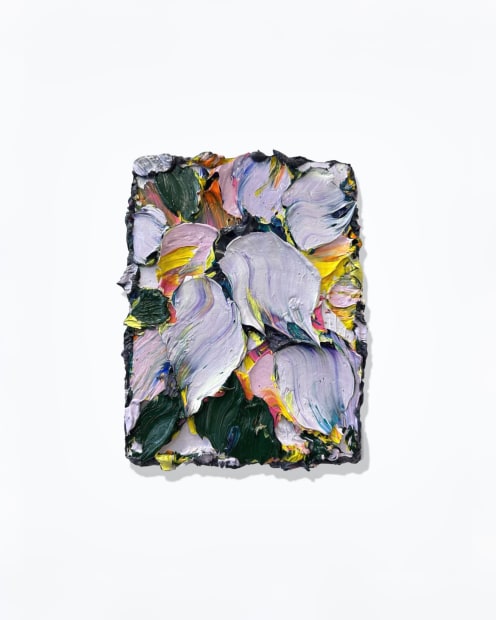 Wil Jansen Wil Jansen is a Dutch artist whose practice is profoundly rooted in nature, drawing inspiration from the intricate...