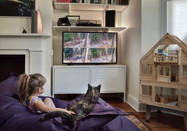 Malia Jensen: Nearer Nature, Virtual Residency at Portland Art Museum