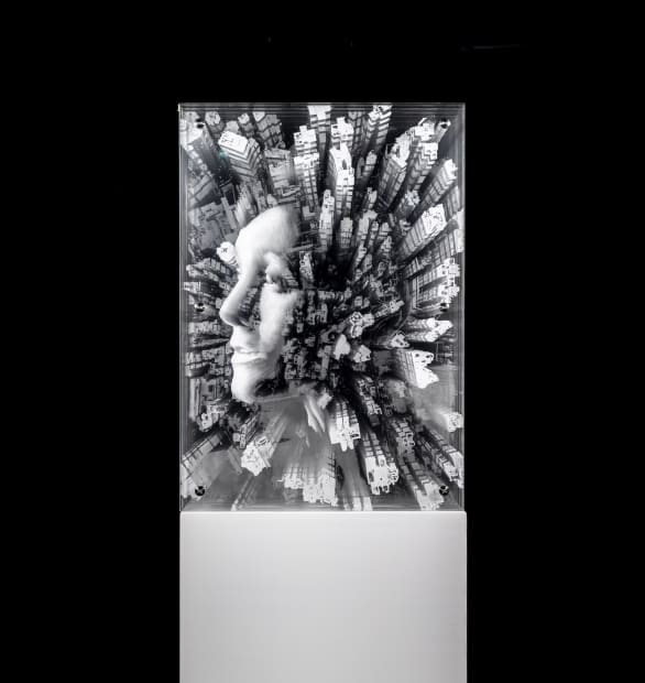 不断发展的词汇