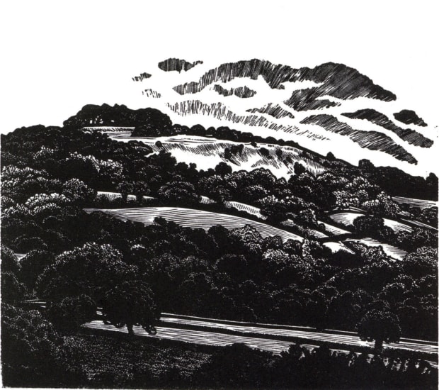 Blaze Cyan, Bevan’s View, 2023