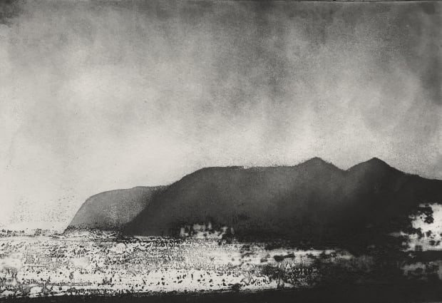 Some Ramsey Islands: Martin Lee It’s a question of how you see. The walk of colour: rain enriched grass, a...