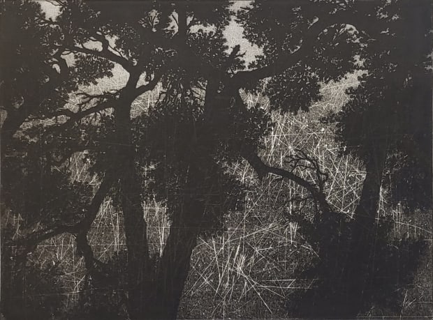 Forest Sky II 2023 Zinc etching with Chine Collé on paper Signed and titled in pencil Numbered from the edition...