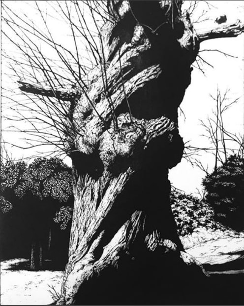 Of course, Blaze’s work is strongly rooted in the long-established English pastoral tradition – particularly within printmaking. There can often...