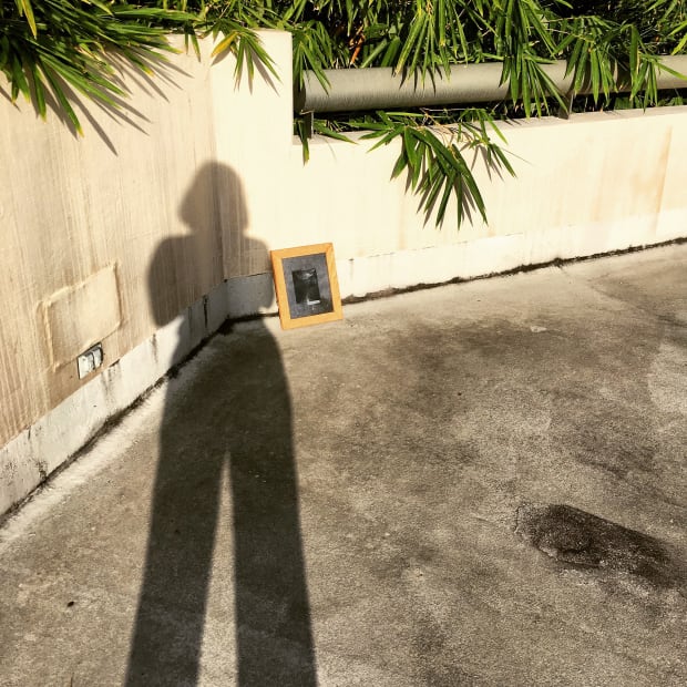 The silhouette of Megan Bent next to a developing chlorophyll print.