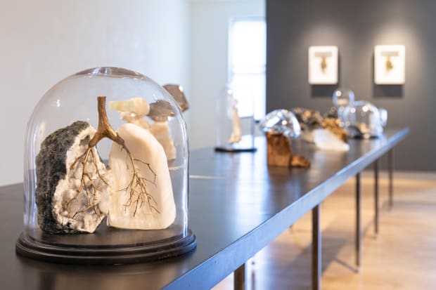 Curatorial Statement, Jordan Eddy