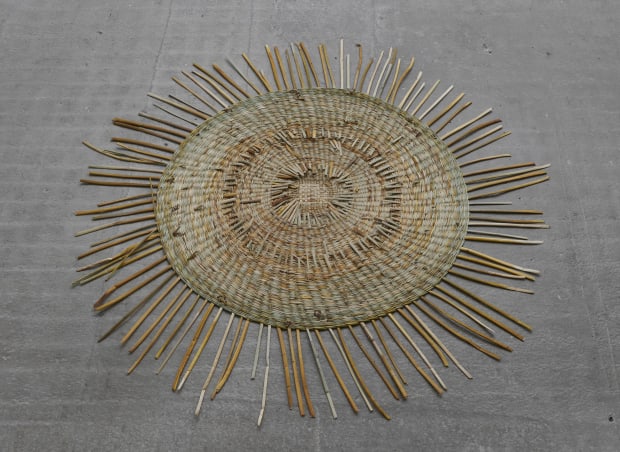 Weather Report, 2019–22