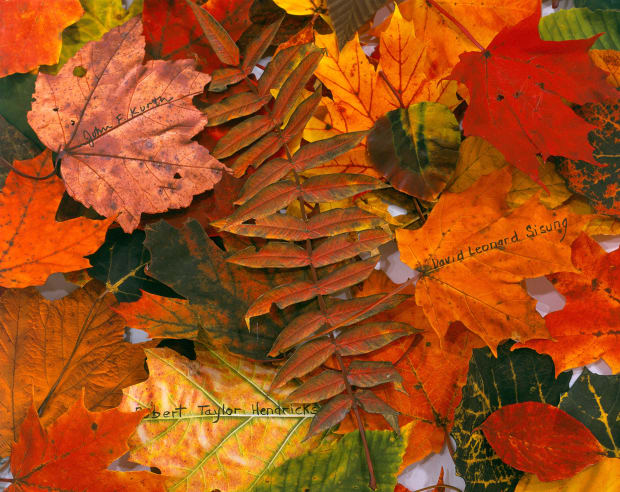 Wit, meticulous craft, and surprising juxtapositions of meaning are hallmarks in the paintings, photographs, and mixed media works by Jane...