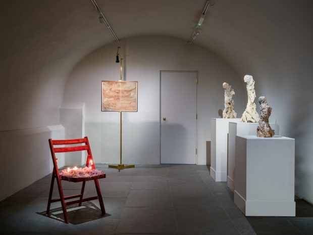 Visit the Collection