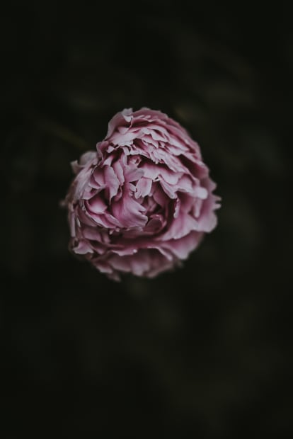 Lorem ipsum dolor sit amet, consectetur adipisici elit, sed eiusmod tempor incidunt ut labore et dolore magna aliqua. Quam diu...