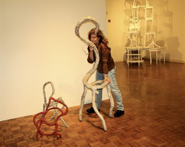 Informed by Function, Lehman College Art Gallery, Co-curated by Claudia Calirman and Susan Hoeltzel, February 6-May 15, 2008