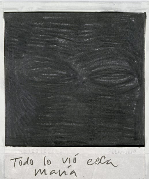 Los Malos Paisajes, Art as a bridge to protect the viewer