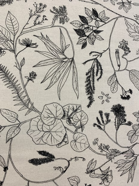 “Plants set the foundation for nearly all life on earth yet the number of plants that have disappeared from the...