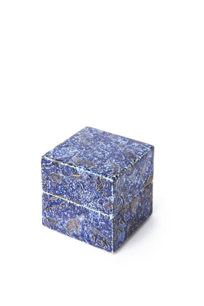 Memorial Box: Shinrabanyo All Creations, C21999