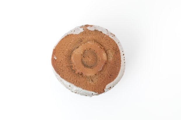 Kai Tsujimura, TEA BOWL - (C25850)