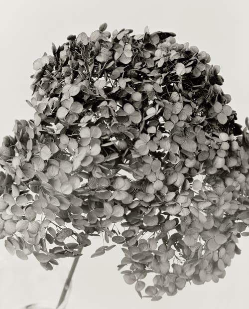 Since 2002 Ulrich Schmitt has been working on a project which he calls 'Photographic Chemistry.' Josef Maria Eder (Austrian,1885-1944), one...