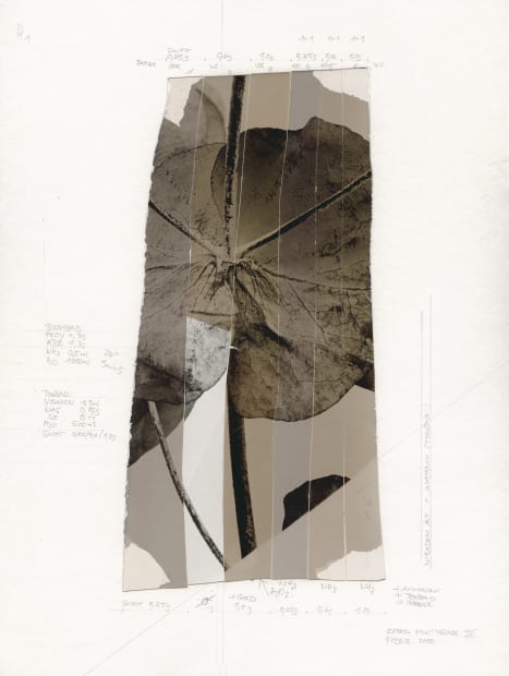 The choice of motifs concentrates on pictorial representations of plants, which are often photographed over several weeks. The special range...