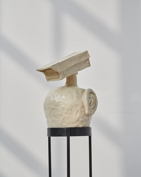 Anthropomorphic Witnesses