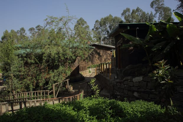 The museum acts as a bridge between artists and architects from around the world to create cutting-edge ecological art and...