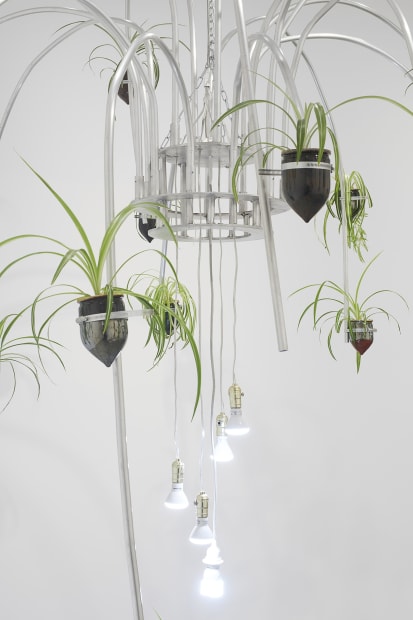 Jeffrey Meris’s hanging sculptures, reminiscent of chandeliers, are made of aluminium piping, ceramic vessels, and spider plants. These materials, along...