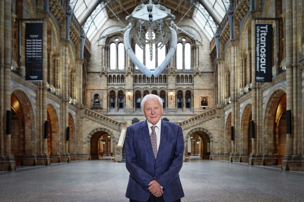 Jerwood Foundation made a grant of £900,000 towards the restoration and modernisation of the Natural History Museum’s magnificent Gallery 26...