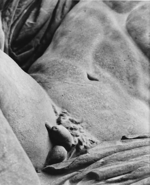 Selected Exhibitions