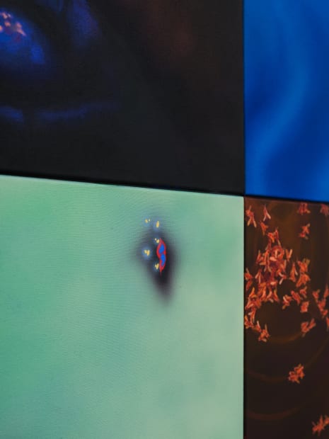 Repository, polarization sets a process of image recognition in motion, because the motifs seem familiar on the one hand but...