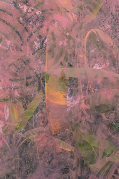 Indem sie diese universell verfügbaren, durch Bildarchive standardisierten Aufnahmen des Urwalds mit kräftigen Schichten pinker Acrylfarbe überzieht, evoziert sie Assoziationen...