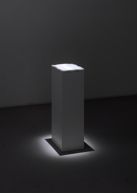 Energy Poem zielt darauf ab, den Begriff der Lesbarkeit und das Verständnis von Intelligenz zu erweitern und hinterfragt die traditionelle...