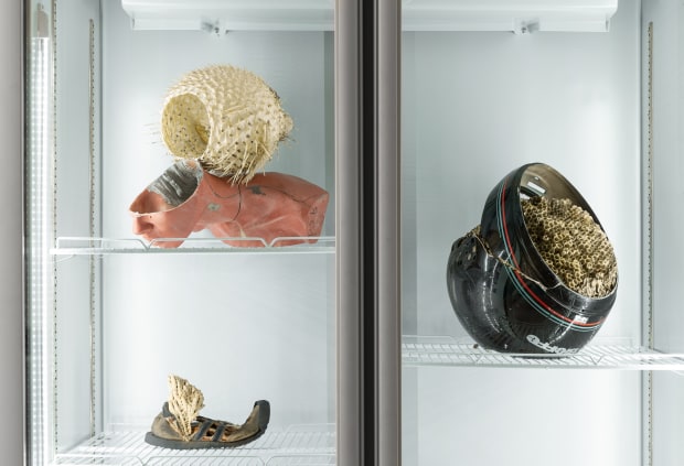 Here, the refrigerator represents a system of organization, a realm of regulation in which different elements and disordered processes can...