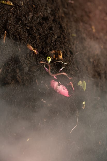 Damit lenkt die Künstlerin aus einer ökologisch-materialistischen Perspektive den Fokus auf symbiotische Ökosysteme, die Bakterien, Schimmelpilze, Würmer, Maschinen und viele...