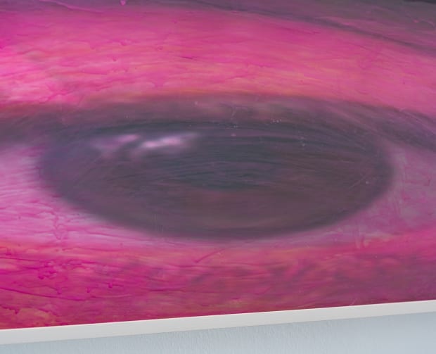 „Wenn wir unsere Augen als Organe verstehen, die sich über sehr lange Zeiträume hinweg entwickelt haben, können wir anders über...