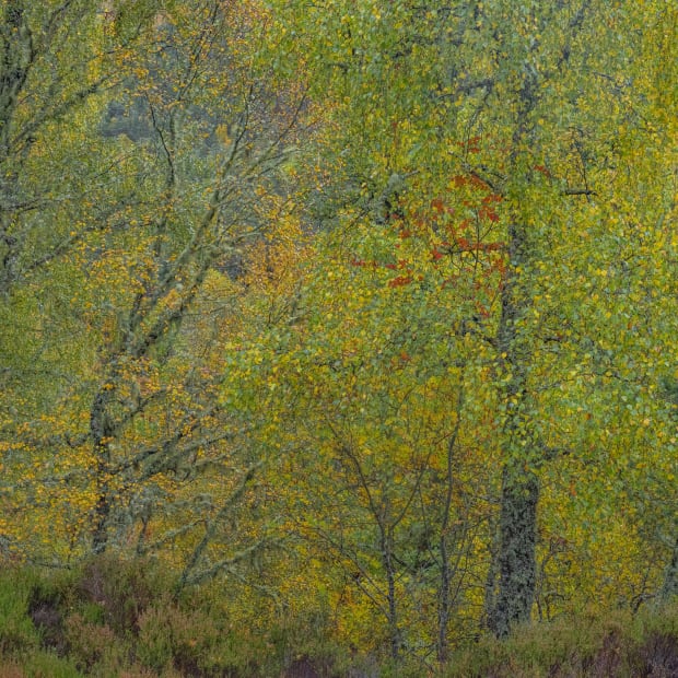 Today, Didier Goupy continues his personal work on space (Mythologies) with a style which bears a close relationship to painting....