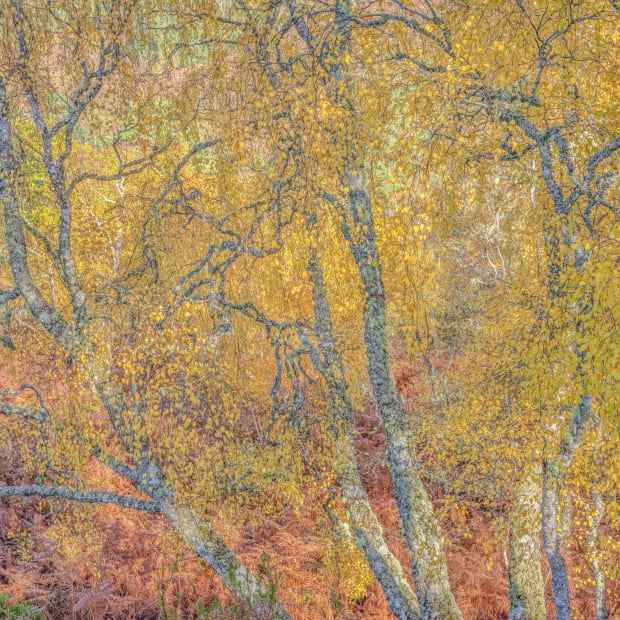 Born in 1960, Didier Goupy made his first images in Morocco. His photographs taken in Ireland (1984) and in Egypt...