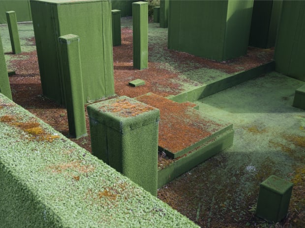 Photo of the Month- Shane Lynam - Pebbledash Wonderland , December