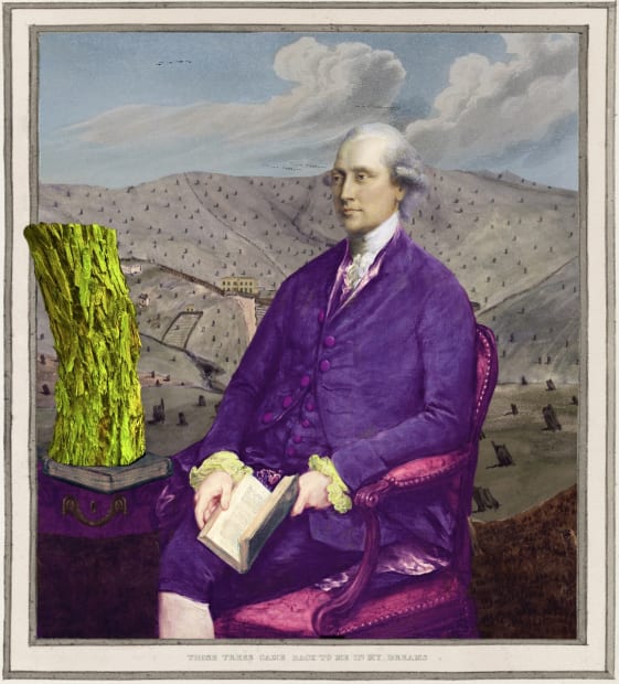 Joan Ross Those trees came back to me in my dreams, 2024 hand-coloured pigment print on rag paper 109.5 x...