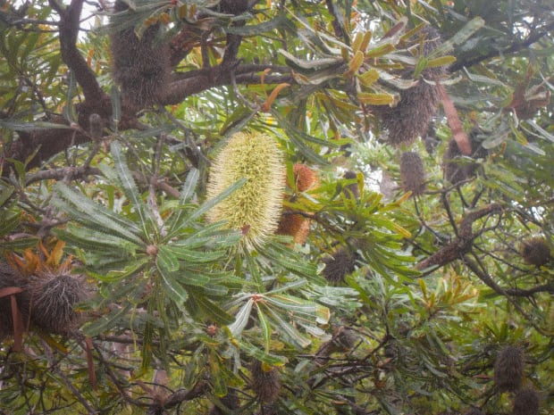 ‘Minjerribah is home, and creating this work let me spend time at home when away from Country.' N.Smith Gallery is...