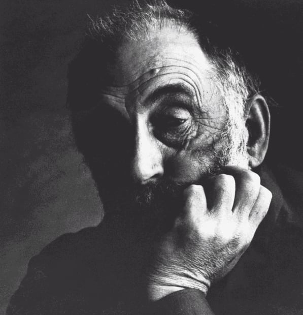 “artist in fluxed earth”