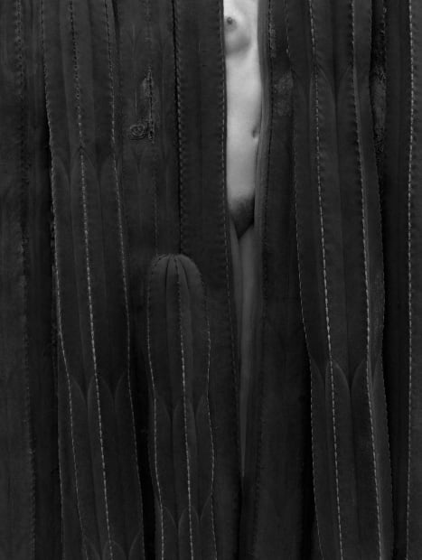 Flor Garduño, Flor de Cactus, Mexico, 2007