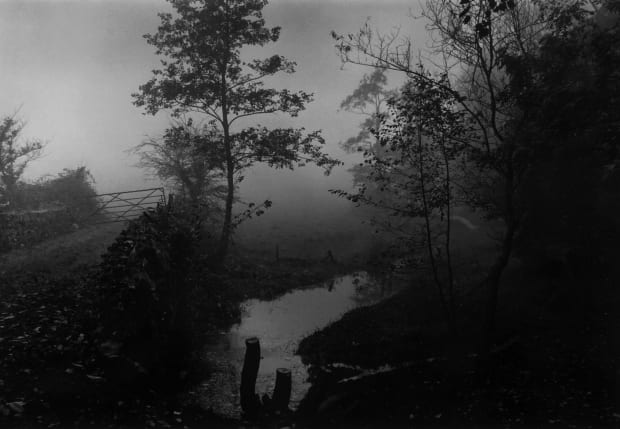 THE POWER OF PHOTOGRAPHY CCCLXVI, Early Morning Mist, Somerset, 1991