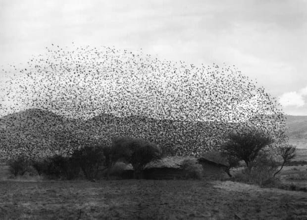 Flor Garduño, Nube, Jocotitlán, México, 1982