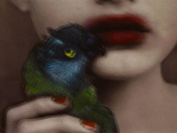 THE POWER OF PHOTOGRAPHY CCXLVI, A Bouche Perdue, 2000