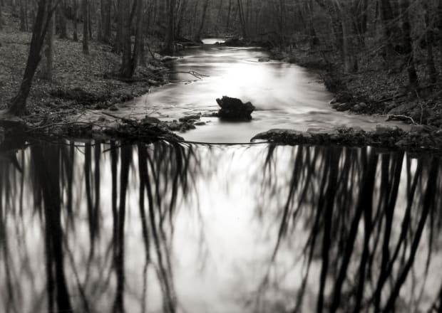 Paul Caponigro, Reflecting Stream, Redding, CT, 1968 (Printed Later)